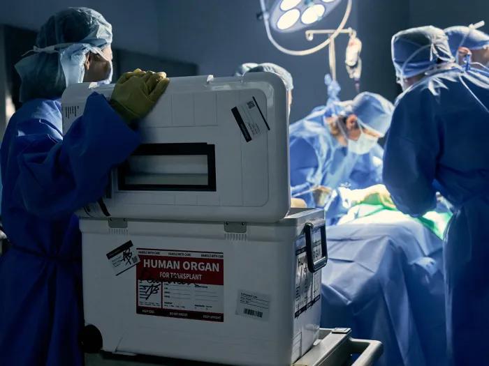 doctors in surgery room over surgery table with cooler open with labels on it