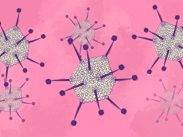 cells spikey on pink background purple spikes