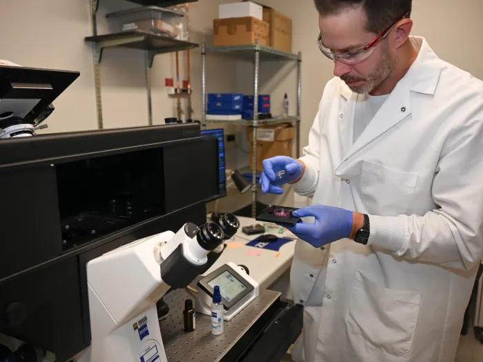 Dr. Joseph Wider prepares cells for the microscope
