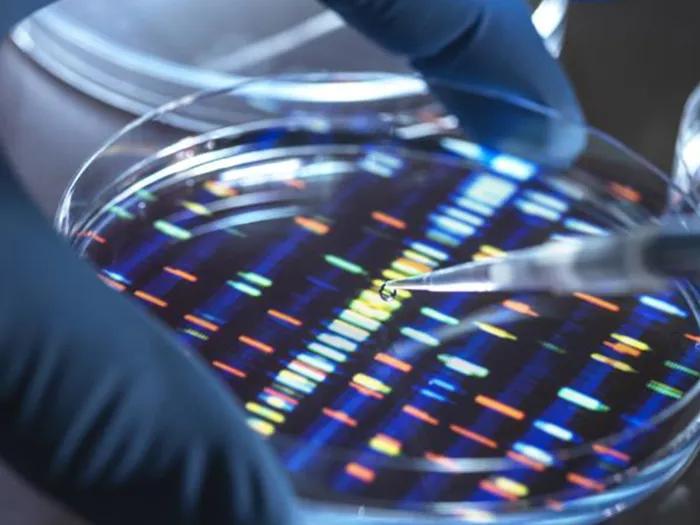 close up of genetic coding in dish colorful blue lab gloves