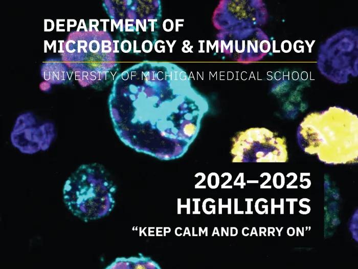 M&I 2024-25 highlights - square vignette