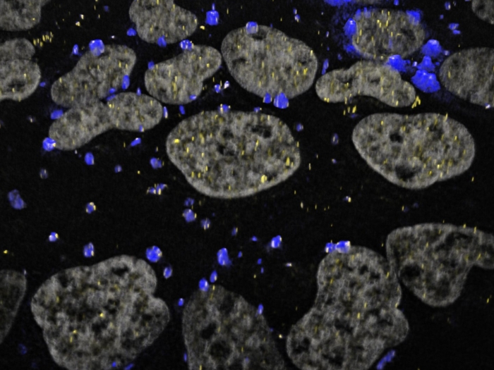 cells flowing black background grey blue dots lighting up