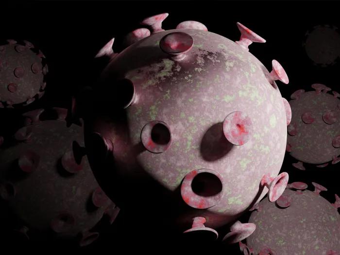 A virus