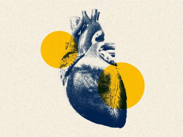 heart graphic navy and yellow