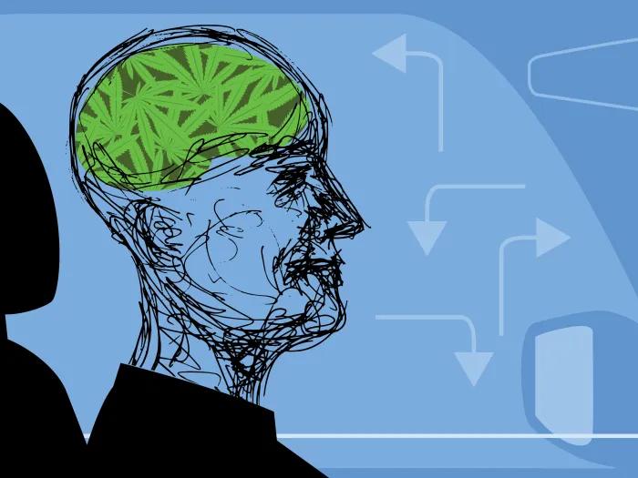 green brain inside blue see through