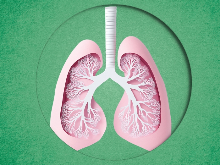 lungs pink green background 