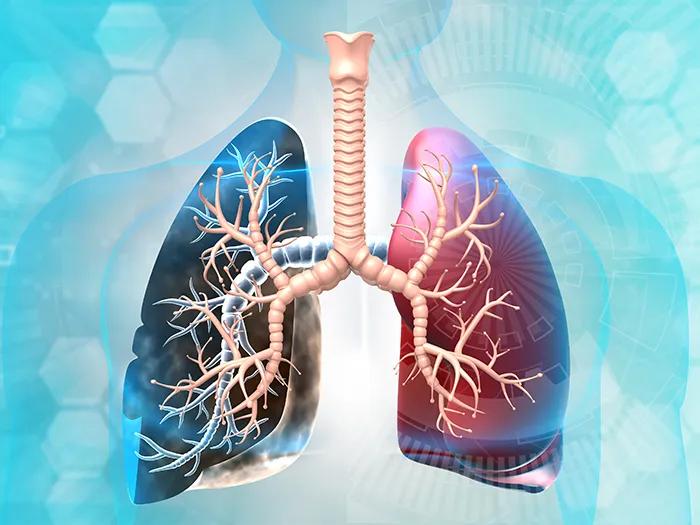 bright blue background with lungs