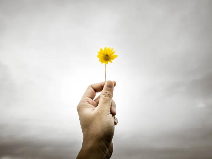A hand is raised, holding a bright yellow dandelion against a background of gray clouds