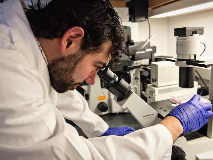 Lab member using a microscope to view a slide