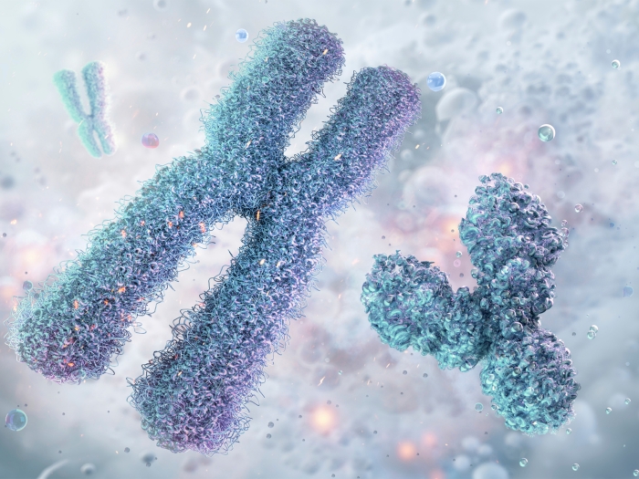 cells floating one looks like an x one looks like a y fuzzy blue vague blue white grey background