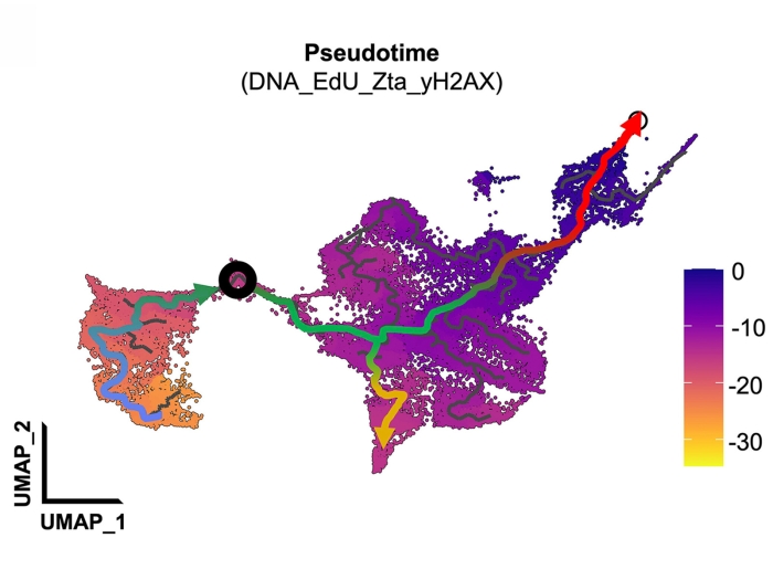 colorful scientific figure showing cell trajectories