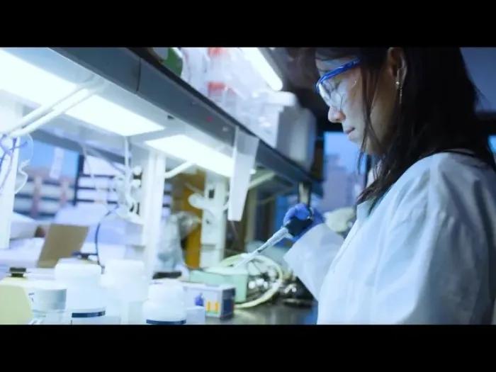 Team member working in the lab