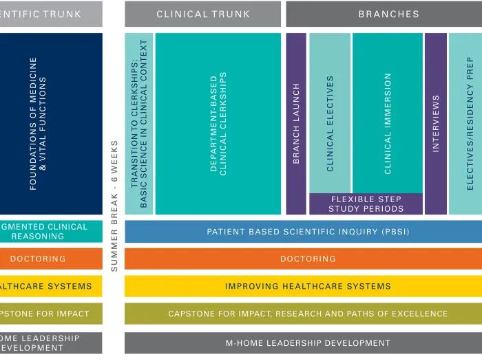 Medical curriculum diagram showing progression through Scientific Trunk, Clinical Trunk, and Branches, with clerkships, electives, clinical immersion, residency preparation, and longitudinal courses.