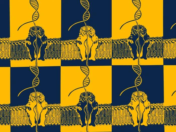 pattern up close sequencing gene navy yellow