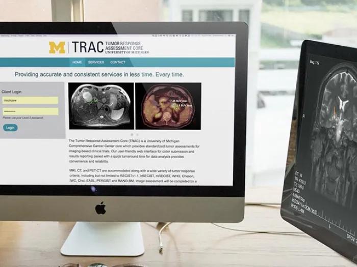 Website display of brain scans