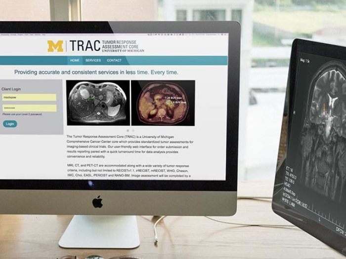 Website display of brain scans