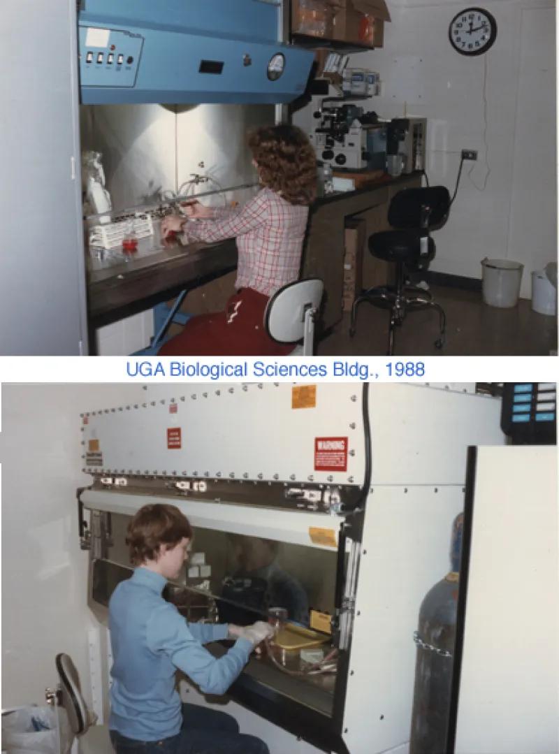 Kathy Spindler (top) and Amy Ball doing experiments at UGA, 1988.