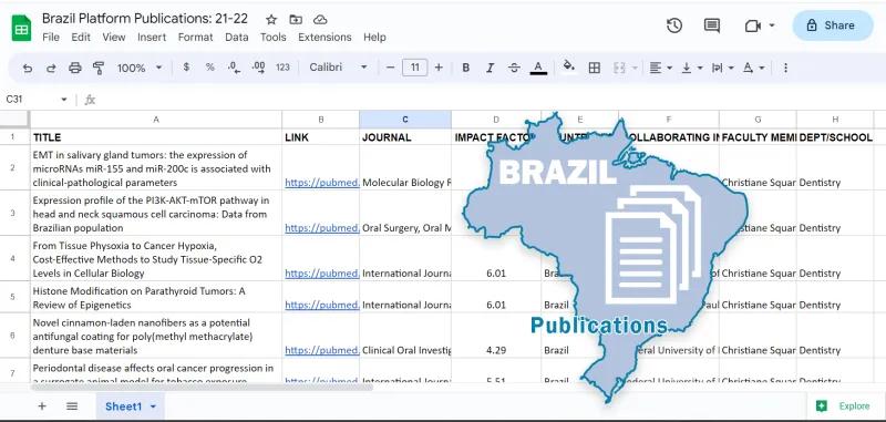 A screenshot of a spreadsheet listing Brazil publications