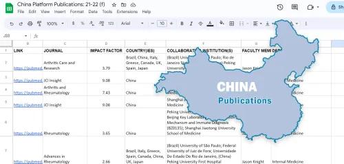 A screenshot of a spreadsheet with China publications