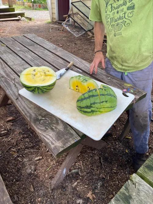yellow watermelon
