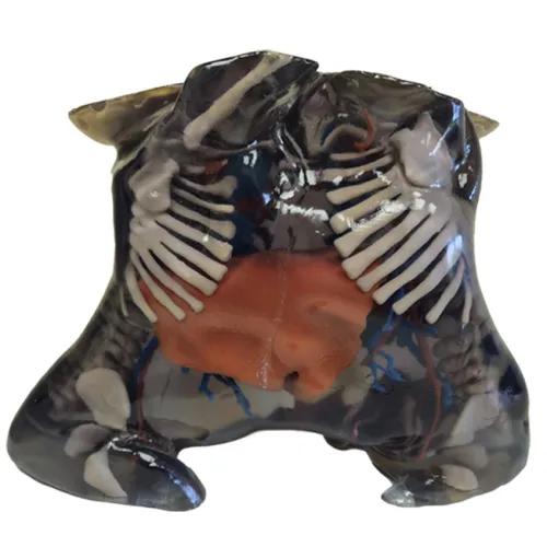 Transparent 3D model