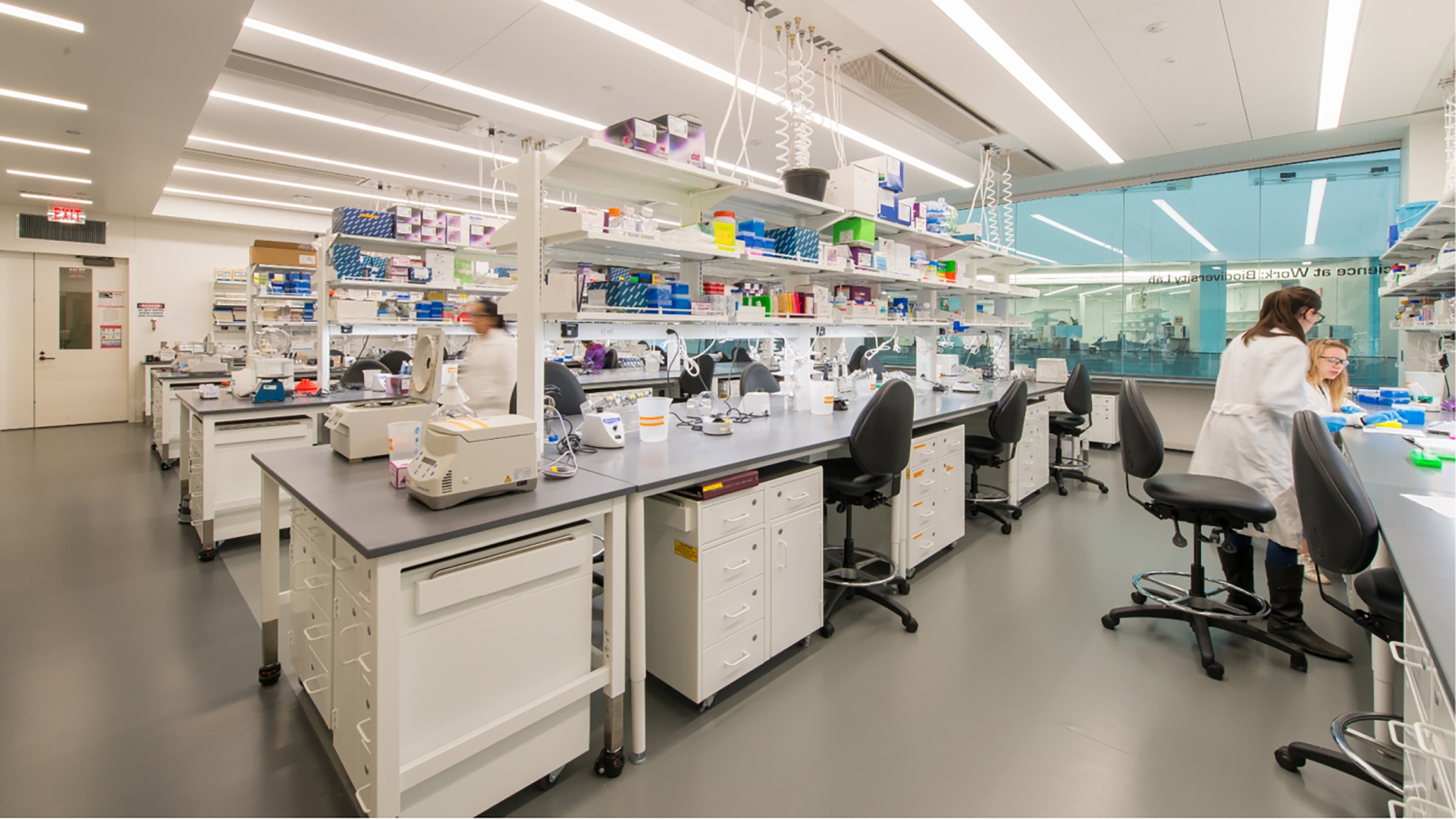 people working in a lab space
