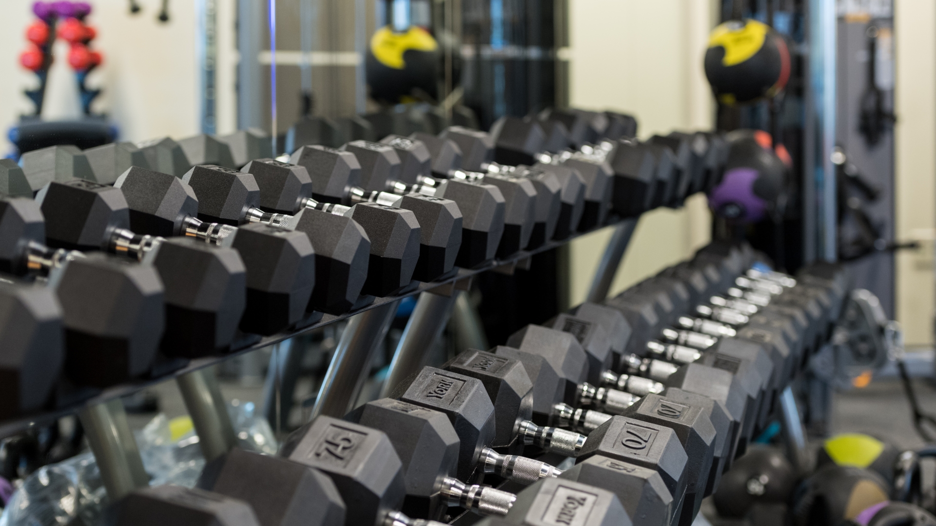 weights on a rack with medicine ball in background 