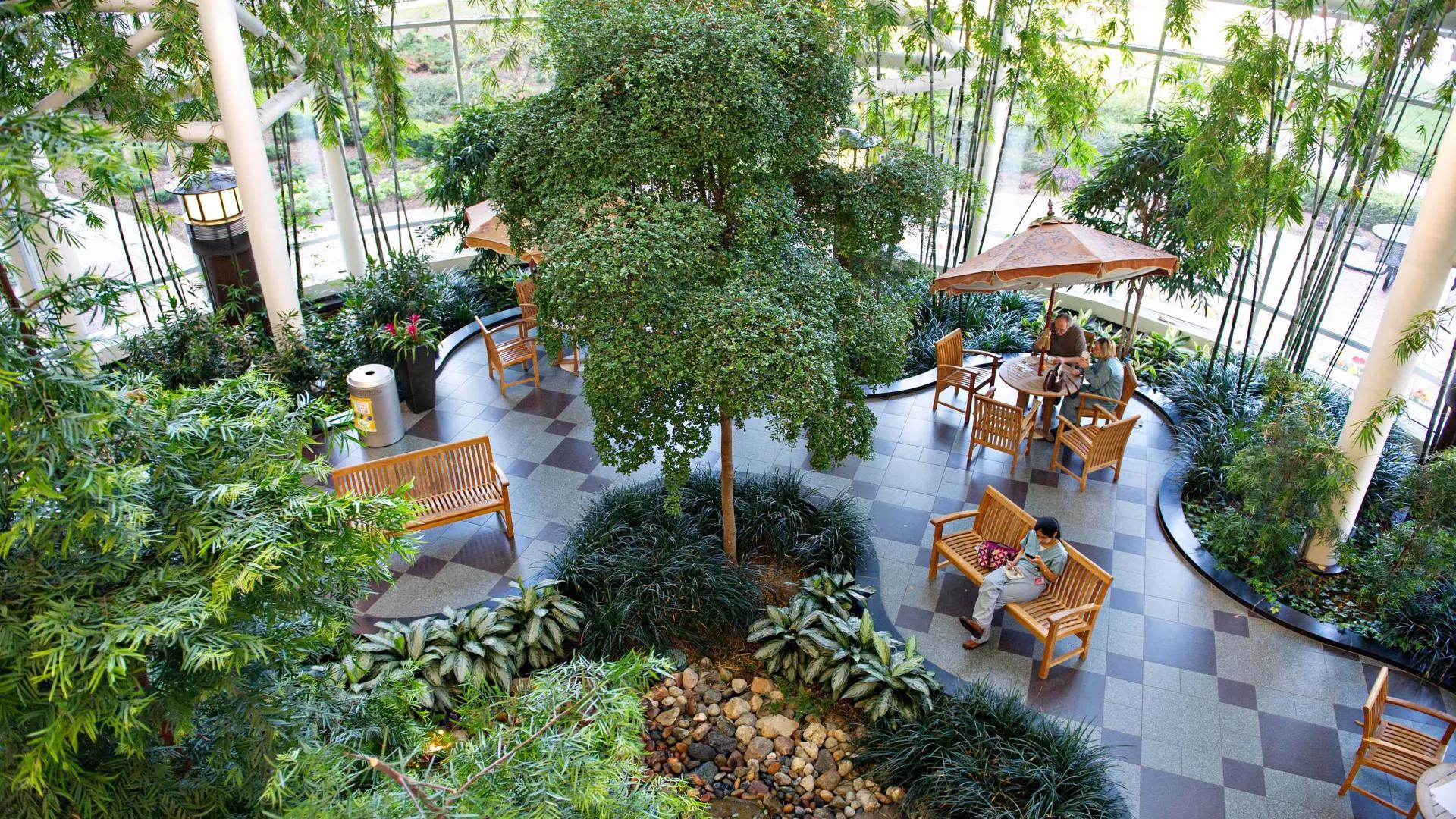 Overhead view of an atrium with plants