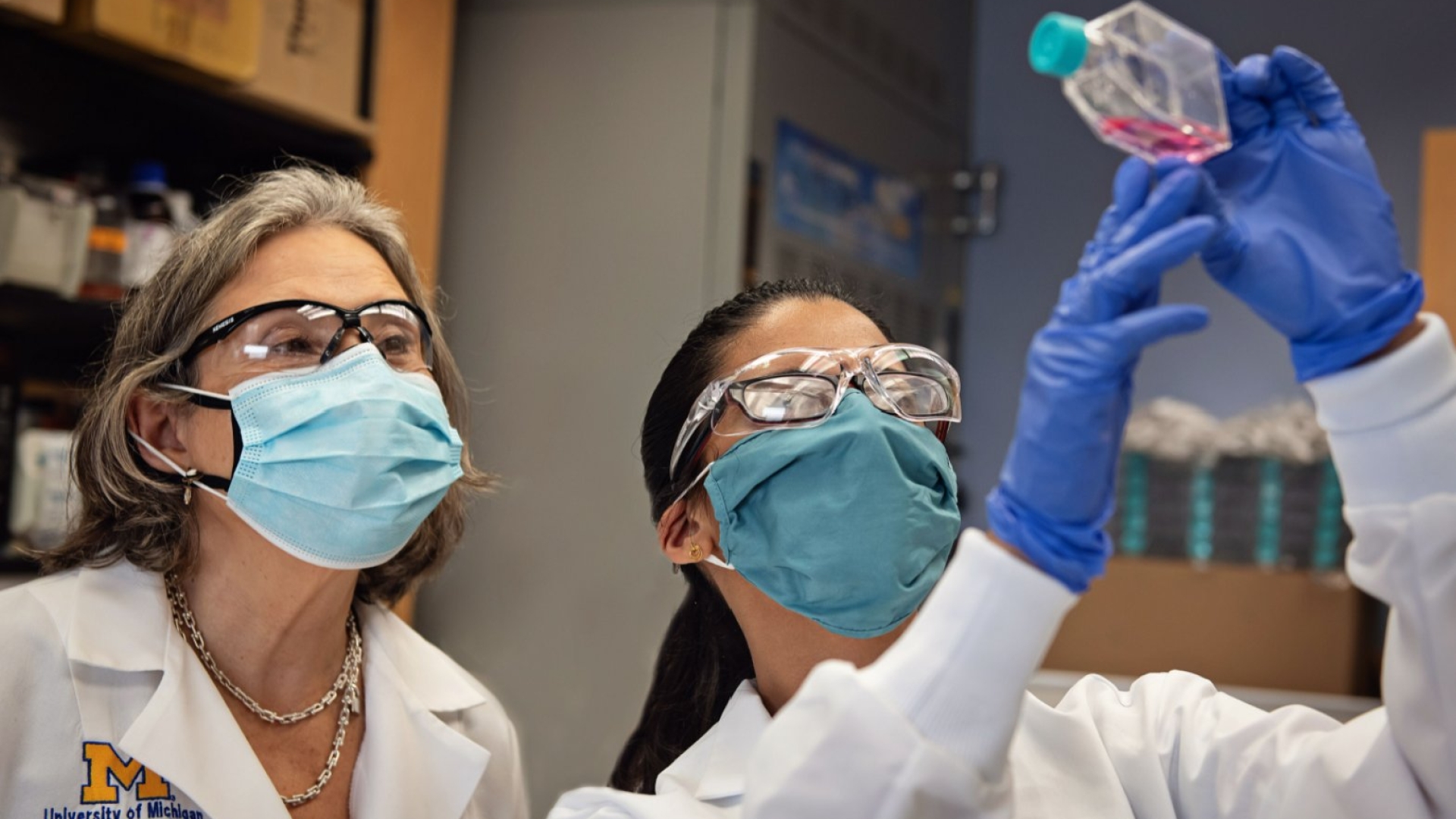 Researchers examine a specimen in the Merajver Lab