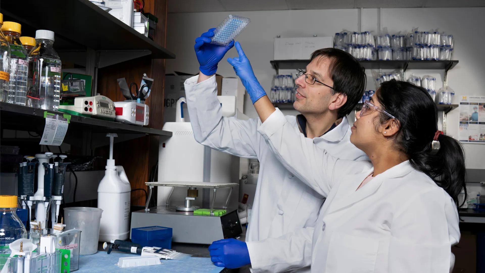 Two people working with lab equipment