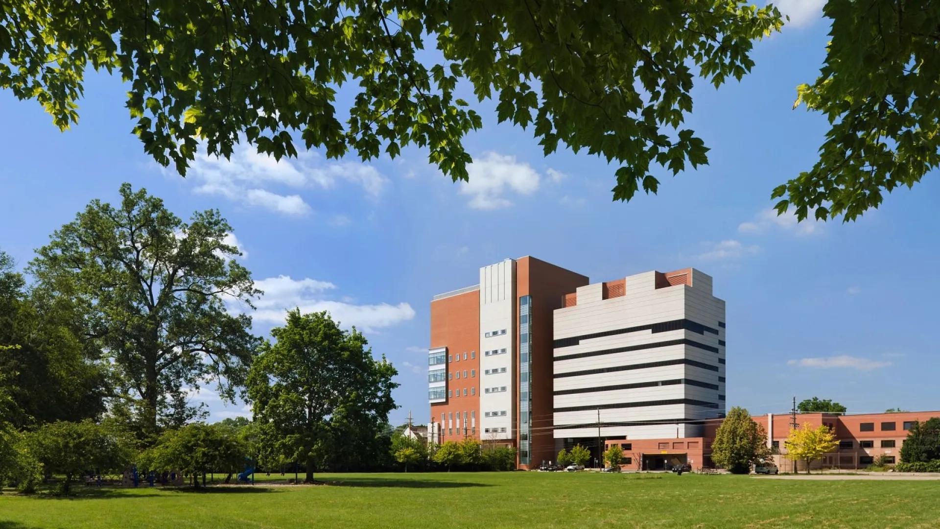 Kellogg Eye Center