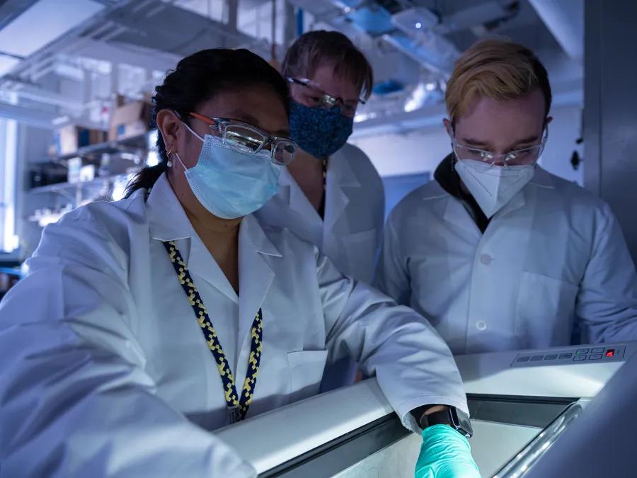 Scientists reaching into lab equiptment 
