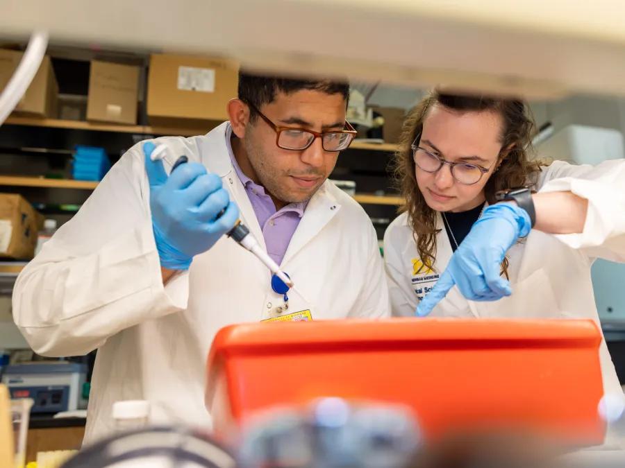 Trainees working together in a lab 