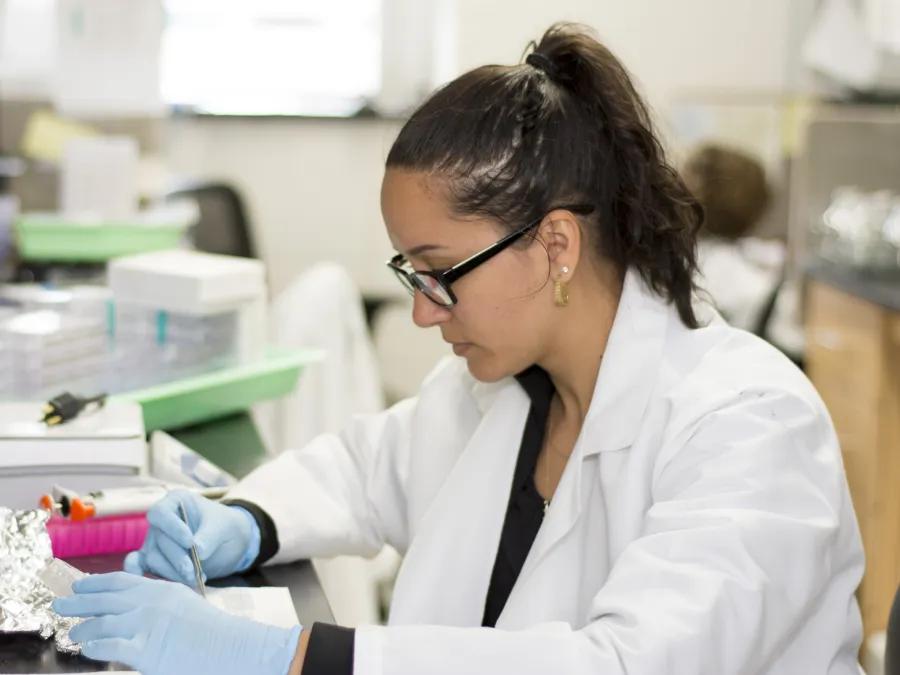 image of ferrer Torres working in lab
