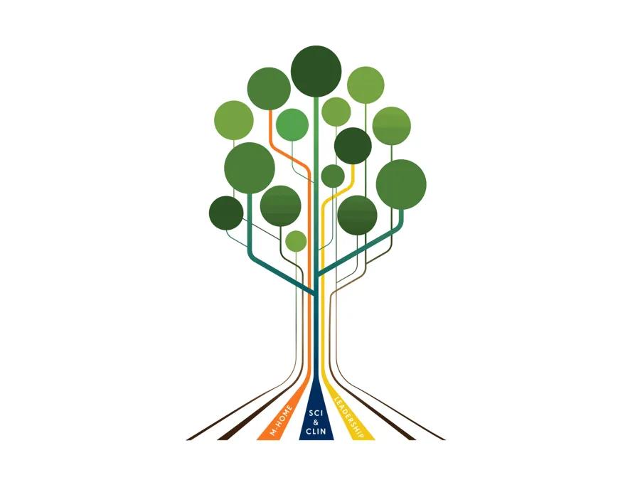MD Program curriculum tree graphic