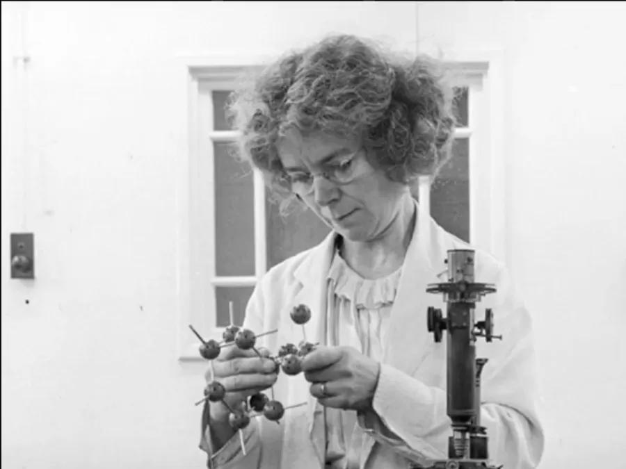 a person in a lab coat working on a model