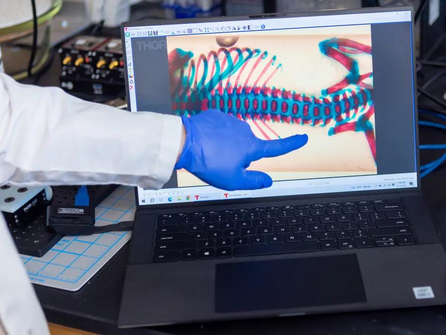 a hand pointing at a computer screen