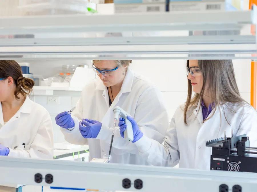 Bioinnovations in Brain Cancer