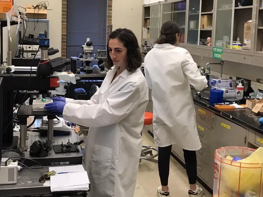 NGP Students working in lab