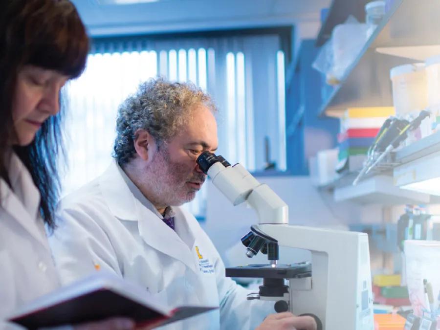 Drs. Castro and Lowenstein working together in their laboratory.