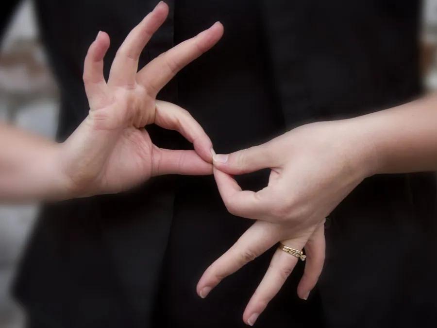 A person's hands using sign language