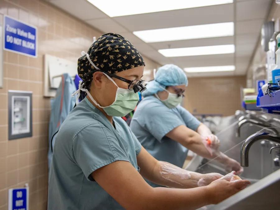Two surgeons at a sink scrubbing for a case