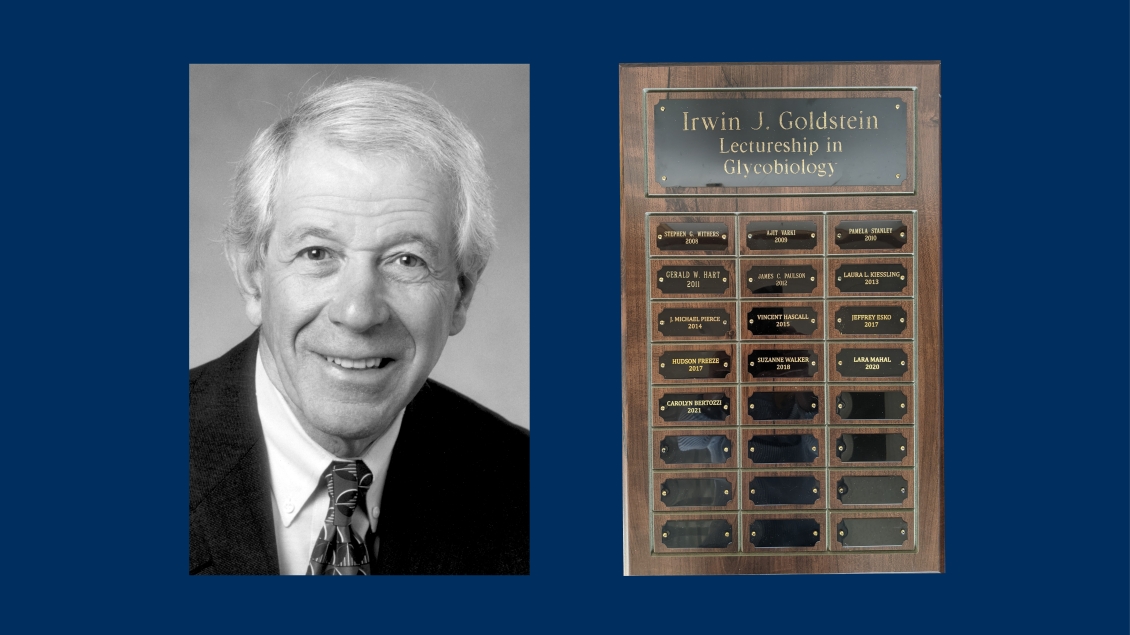 profile photo of Irwin Goldstein Lectureship 