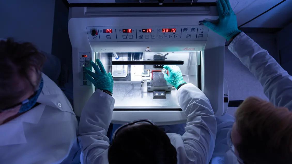 doctors reaching into laboratory equipment 