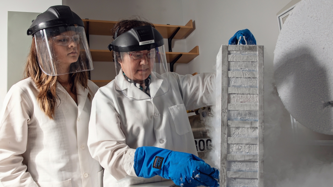 Two people working in a lab with gloves