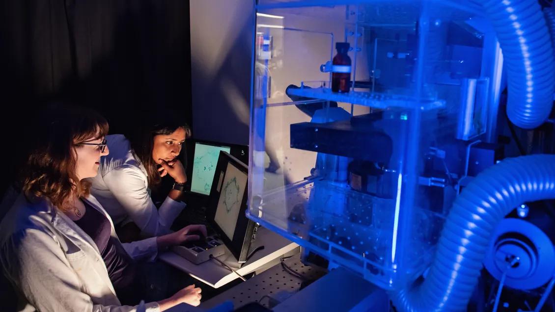 Two people working in a lab