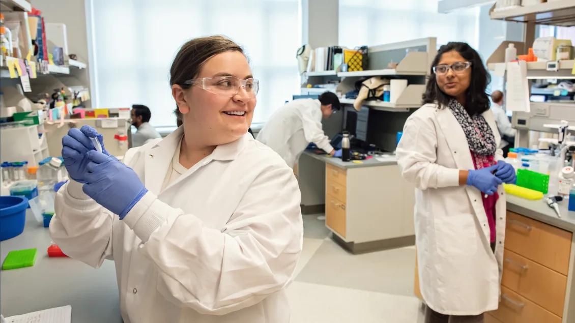 People working in a lab