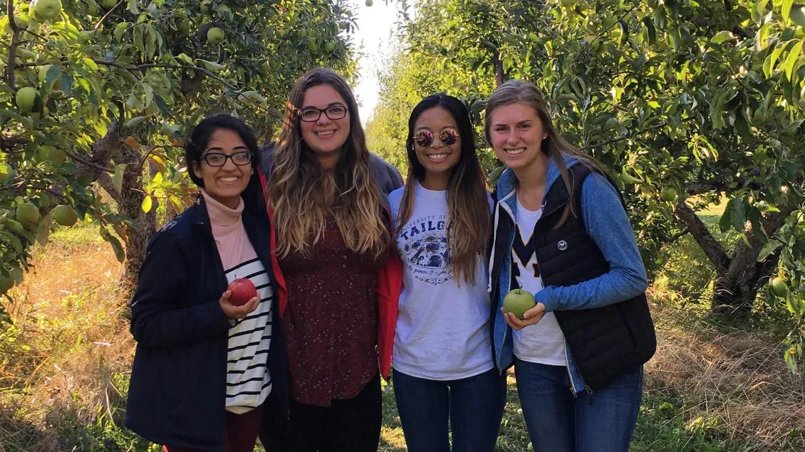 Group of students in an orchard