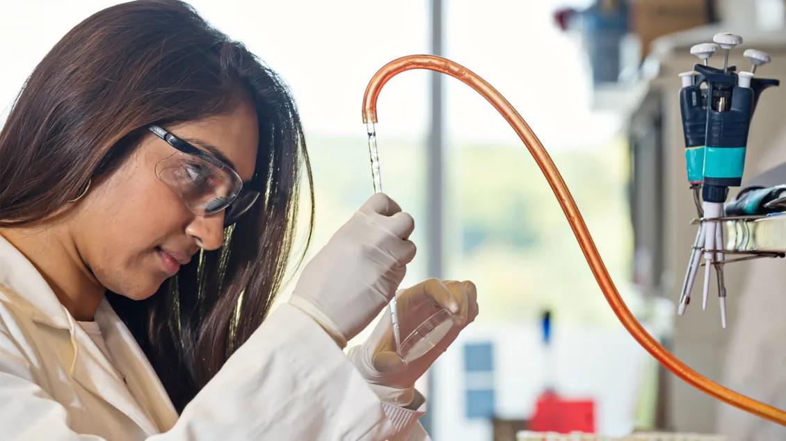 Closeup of a person working with lab equipment
