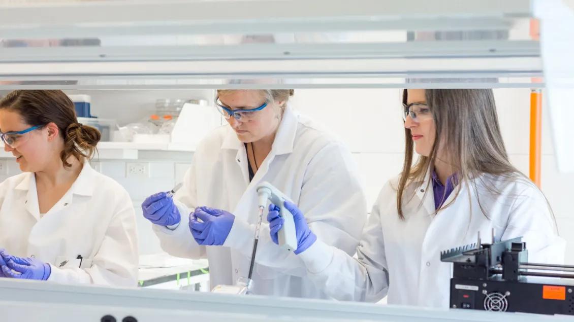 Bioinnovations in Brain Cancer